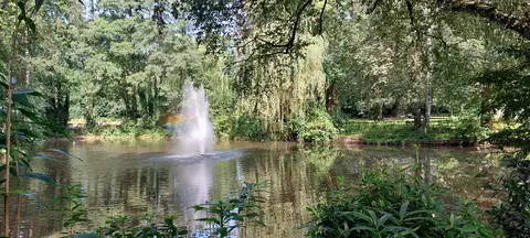 Gemeentepark - Rudi Staute - 27.08.2024 1