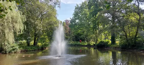 Gemeentepark - Rudi Staute - 27.08.2024 2