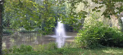 Gemeentepark - Rudi Staute - 27.08.2024 3