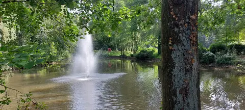 Gemeentepark - Rudi Staute - 27.08.2024 4