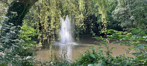 Gemeentepark - Rudi Staute - 27.08.2024 5