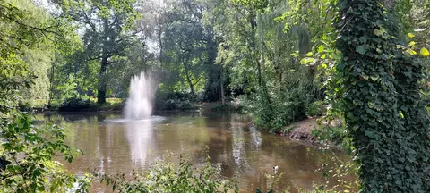 Gemeentepark - Rudi Staute - 27.08.2024 6