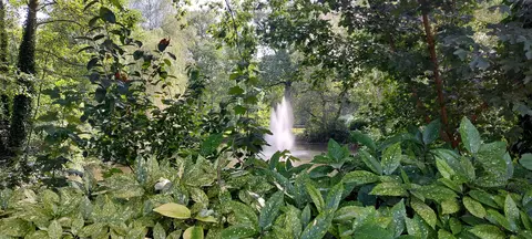 Gemeentepark - Rudi Staute - 27.08.2024 7