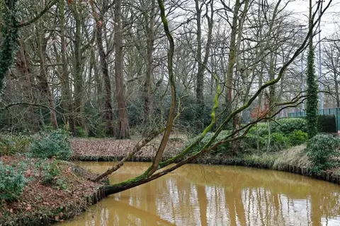 Gemeentepark 3