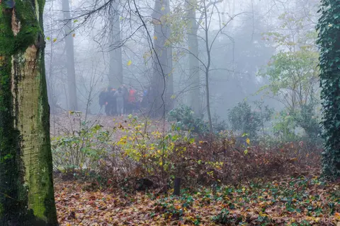 Gemeentepark 3