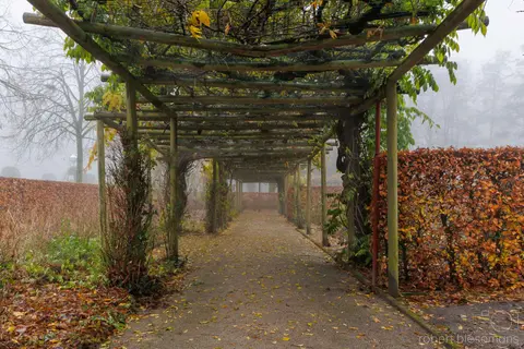 Gemeentepark 6