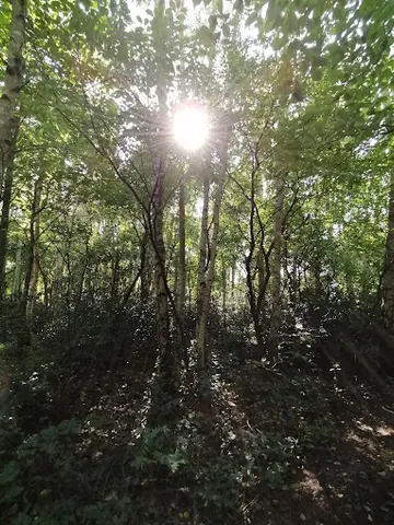 Het Klein Bos 23