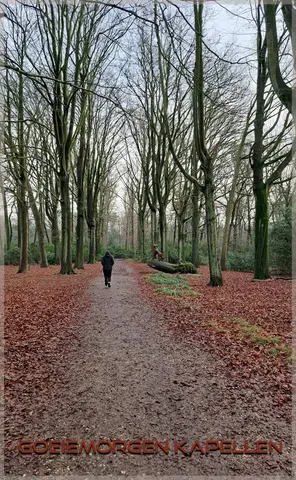 Het Rood