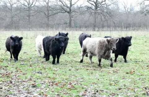 Het Rood - Natuurpunt
