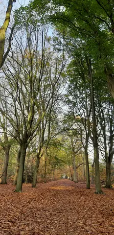 Het Rood 1