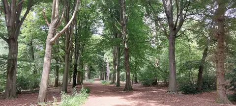 Het Rood 1