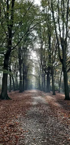 Het Rood 2