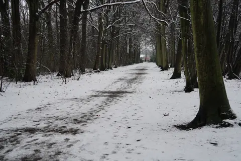 Het Rood 9