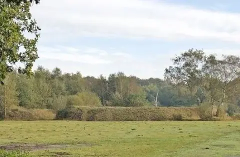 Hoogboom - Bosdreef - Poloveld in de Bosdreef