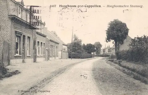 Hoogboom - Hoogboomsesteenweg in de Hoogboomsteenweg