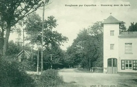 Hoogboom - Hoogboomskruis in de Hoogboomsteenweg