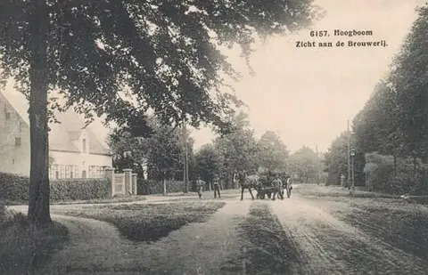 Hoogboom - Zicht aan de Brouwerij in de Hoogboomsteenweg