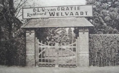 Hoogboom - Welvaart_16