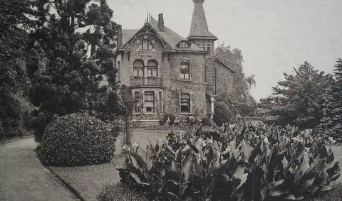 Hoogboom - Welvaart_17