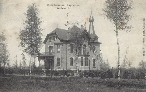 Hoogboom - Welvaart_4
