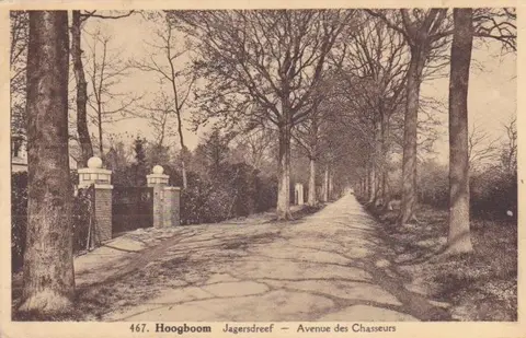 Hoogboom - Jagersdreef in de Jagersdreef