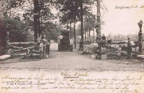 Hoogboom - Jagersdreef in de Jagersdreef