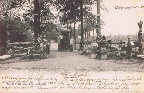 Hoogboom - Jagersdreef in de Jagersdreef
