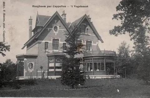 Hoogboom - t Vogelsnest - Jagersdreef in de Jagersdreef