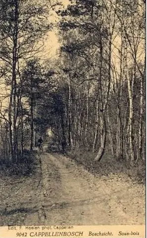 Kapellenbos