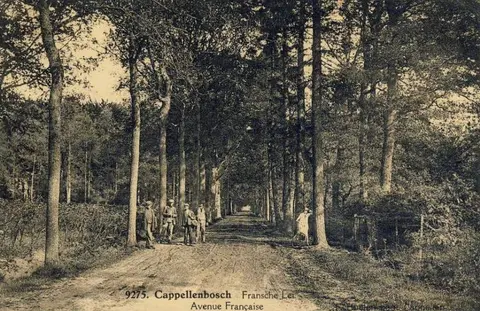 Kapellenbos - Franselei 3