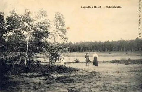 Kapellenbos - Heidezicht