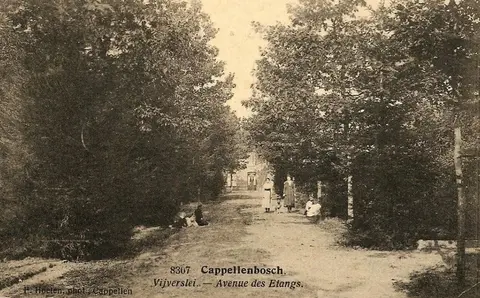 Kapellenbos - Vijverslei - Kapellenbos