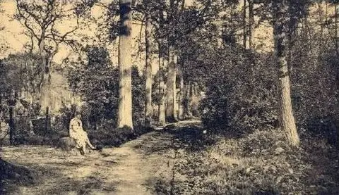 Kapellenbos_2