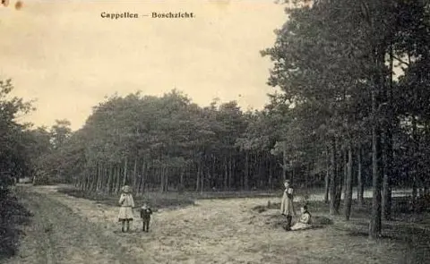 Kapellenbos_3