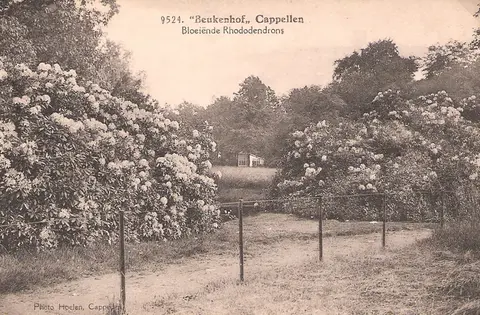 Kasteel Beukenhof - Hoelen