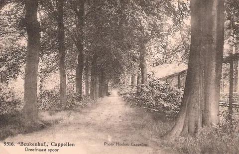 Kasteel Beukenhof - Hoelen - Dreef naast spoor