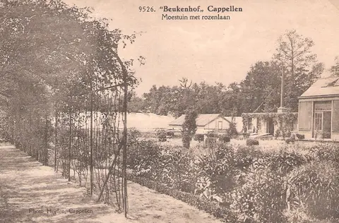 Kasteel Beukenhof - Hoelen - Moestuin met rozenlaan