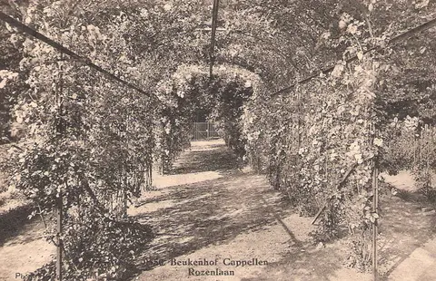Kasteel Beukenhof - Hoelen - Rozenlaan