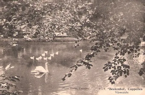 Kasteel Beukenhof - Hoelen - Vijverzcht