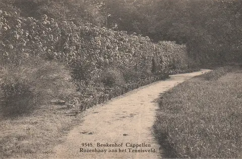 Kasteel Beukenhof - Tennisveld