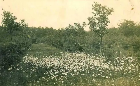 Kasteel Beukenhof - Tuin