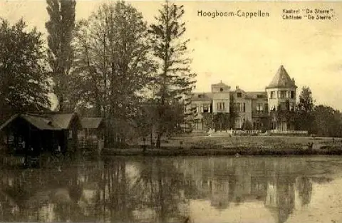 Hoogboom