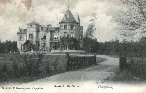 Hoogboom