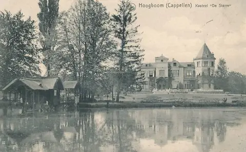 Hoogboom