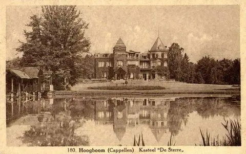 Hoogboom