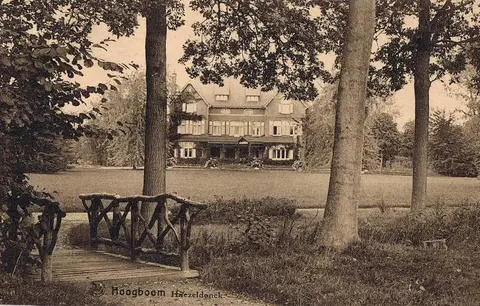 Hoogboom - Kasteel Haezeldonck