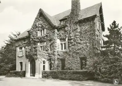 Hoogboom - Kasteel Haezeldonck - Lobelialaan 8 in de Lobelialaan 8