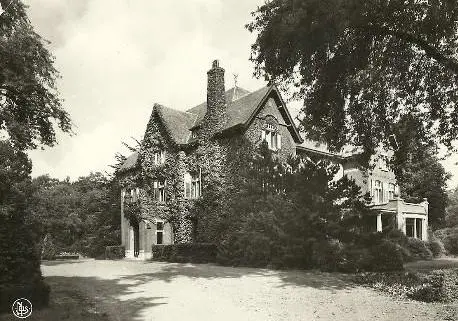 Hoogboom - Kasteel Haezeldonck-Good 1