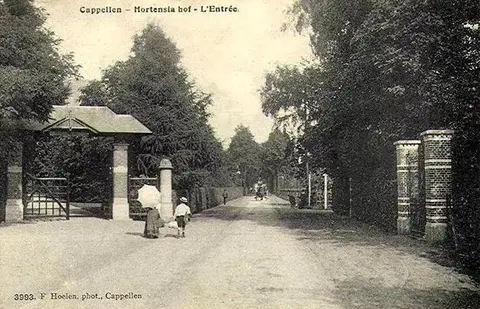 Hortensiahof