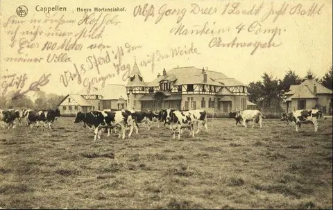 Hortensiahof - Hoeve